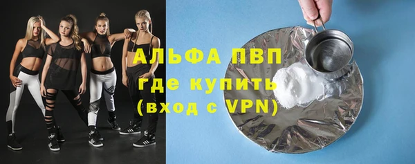 PSILOCYBIN Ладушкин