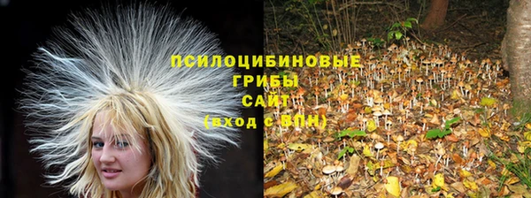 марки nbome Лагань