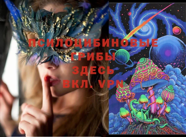 PSILOCYBIN Ладушкин