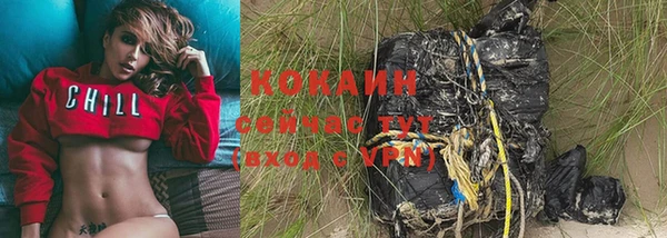 PSILOCYBIN Ладушкин