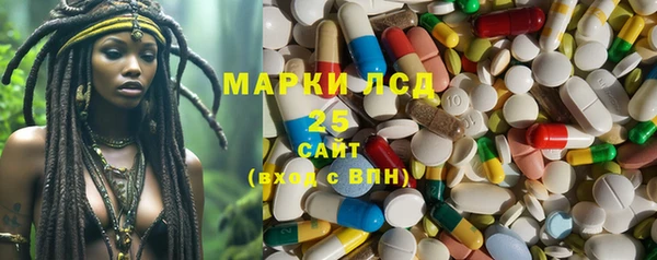 PSILOCYBIN Ладушкин