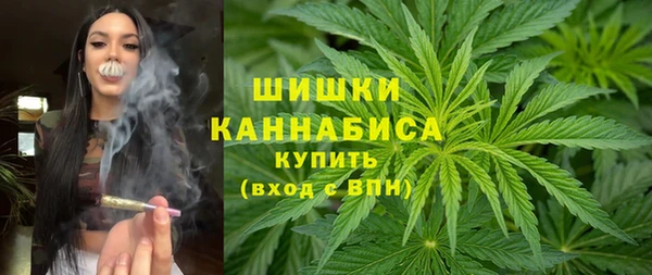 PSILOCYBIN Ладушкин